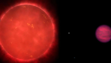 Mysterious signal every 44 minutes in the Milky Way: New challenge for scientists